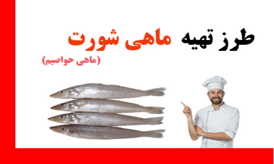 طرز تهیه ماهی شورت به روش های مختلف (گام به گام)